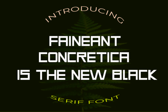 Choosing the Faineant Display Font for a Modern Web Project
