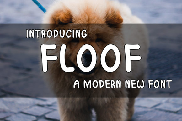 Enhancing Digital Marketing with the Floof Display Font