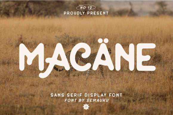 The Macane Font for Business Branding and Creative Projects